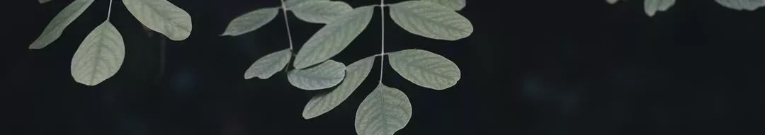 宁波兼职在家,宁波在家网上兼职