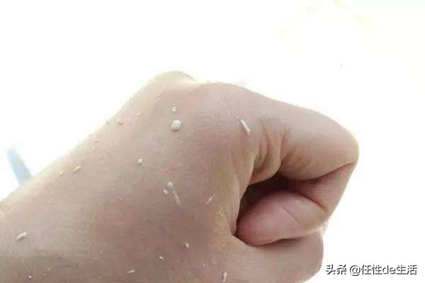 用修丽可紫米精华搓泥怎么办,吐槽欧莱雅眼霜紫熨斗