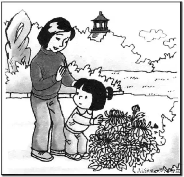 看图写话鼓励孩子学习,二年级上册暑假看图写话100字以上
