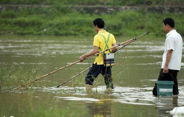3年杀1.2万只“黄大仙”,被罚960万,其实农民这几种行为也违法