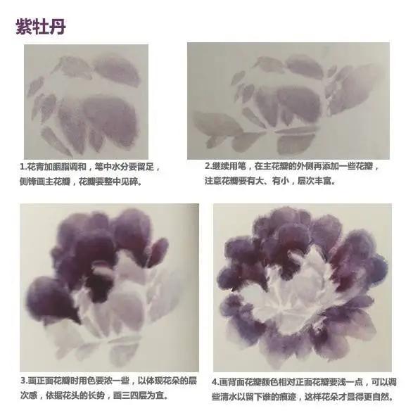 学习写意牡丹画的方法,学习写意牡丹画的步骤