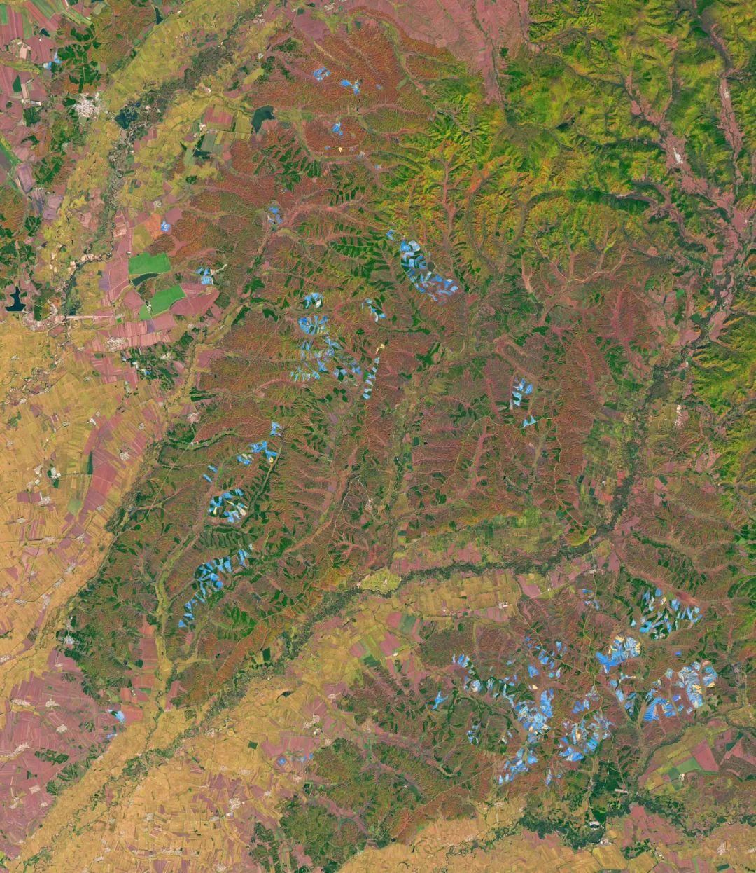 开原第一狠人视频,铁岭东北城