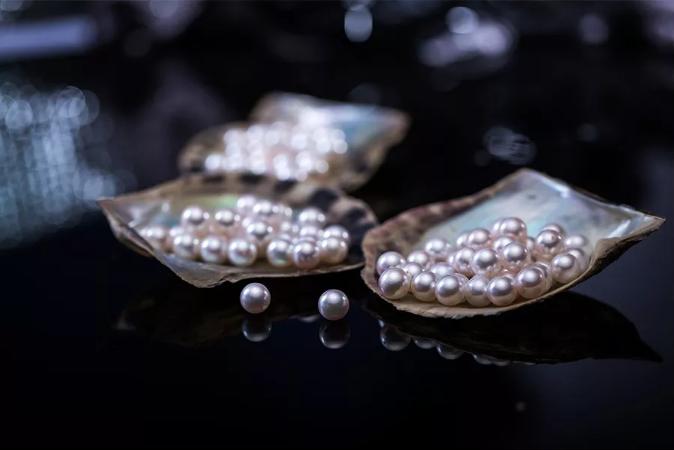 北海市南珠宫珍珠饰品有限公司,阮仕珍珠和南珠宫珍珠哪个好