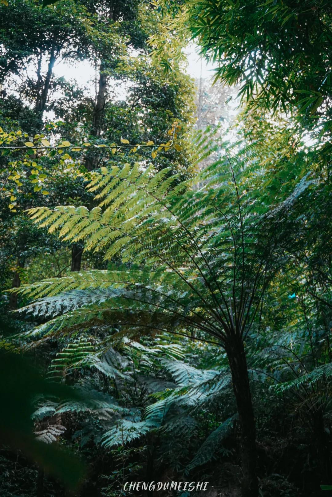 四川省青神县有哪些地方,四川青神有什么好玩的