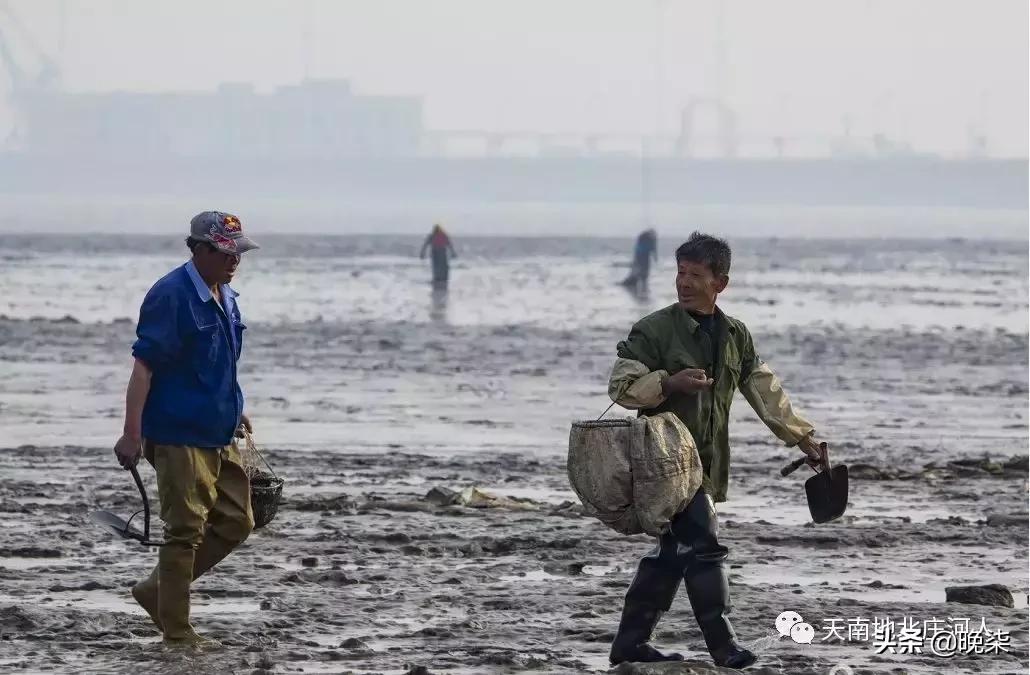 大连庄河赶海排名第一名,庄河赶海网红视频