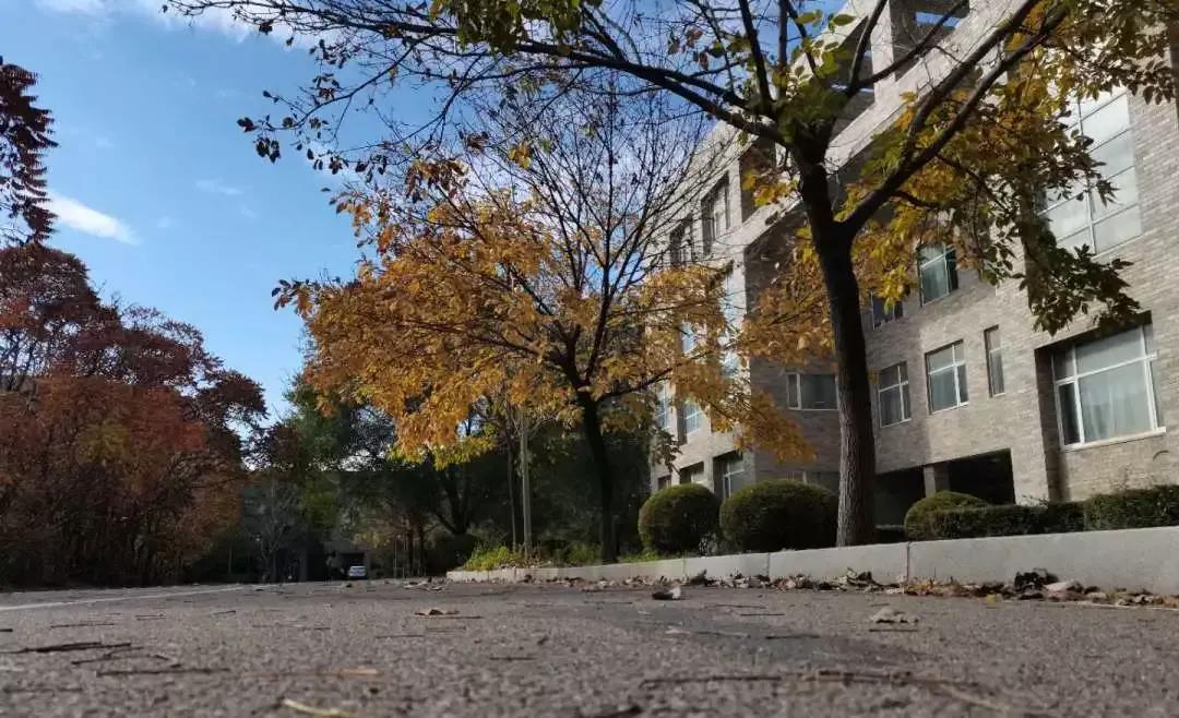 辽宁省普通高等院校,辽宁省沈阳本科大学