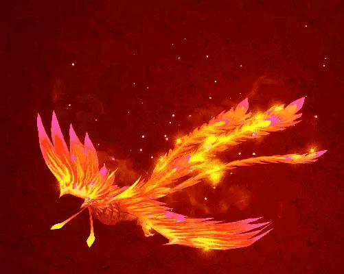 凤凰来仪风水作用,凤凰来仪礼物图片