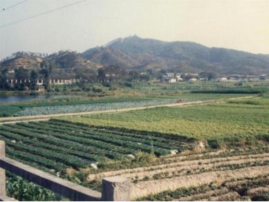 文化之源涵养创新沃土！光明这样让艺术之光照进科学之城