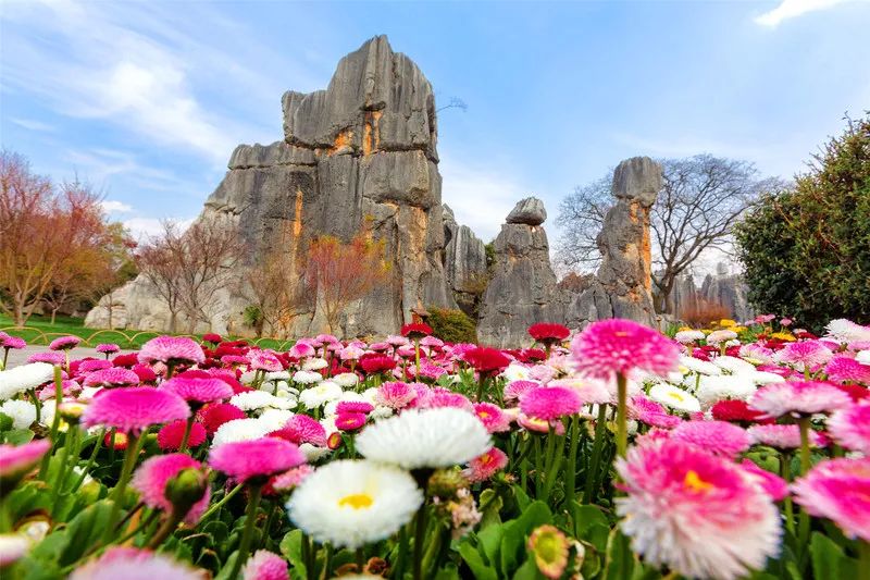 2019年度回顾都去过哪些地方,2019年还有62天你最想去哪里