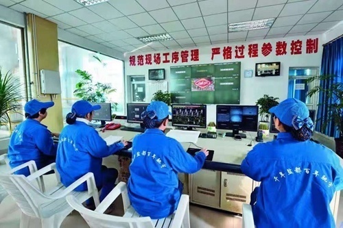 鑽e幙宸ヤ笟鍙戝睍,鑽e幙涔℃潙鎸叴椤圭洰