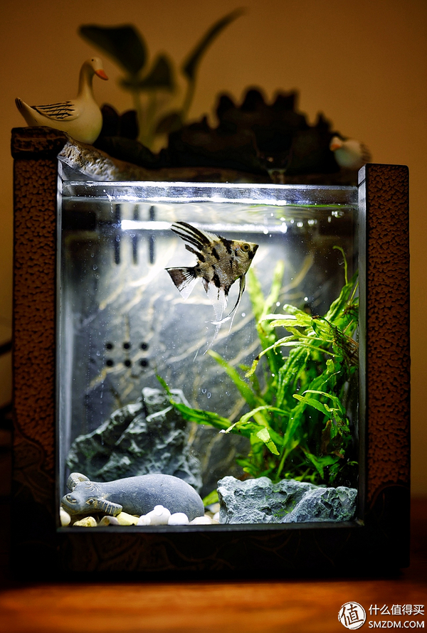 男性实用礼物,东半球最好的产品是什么