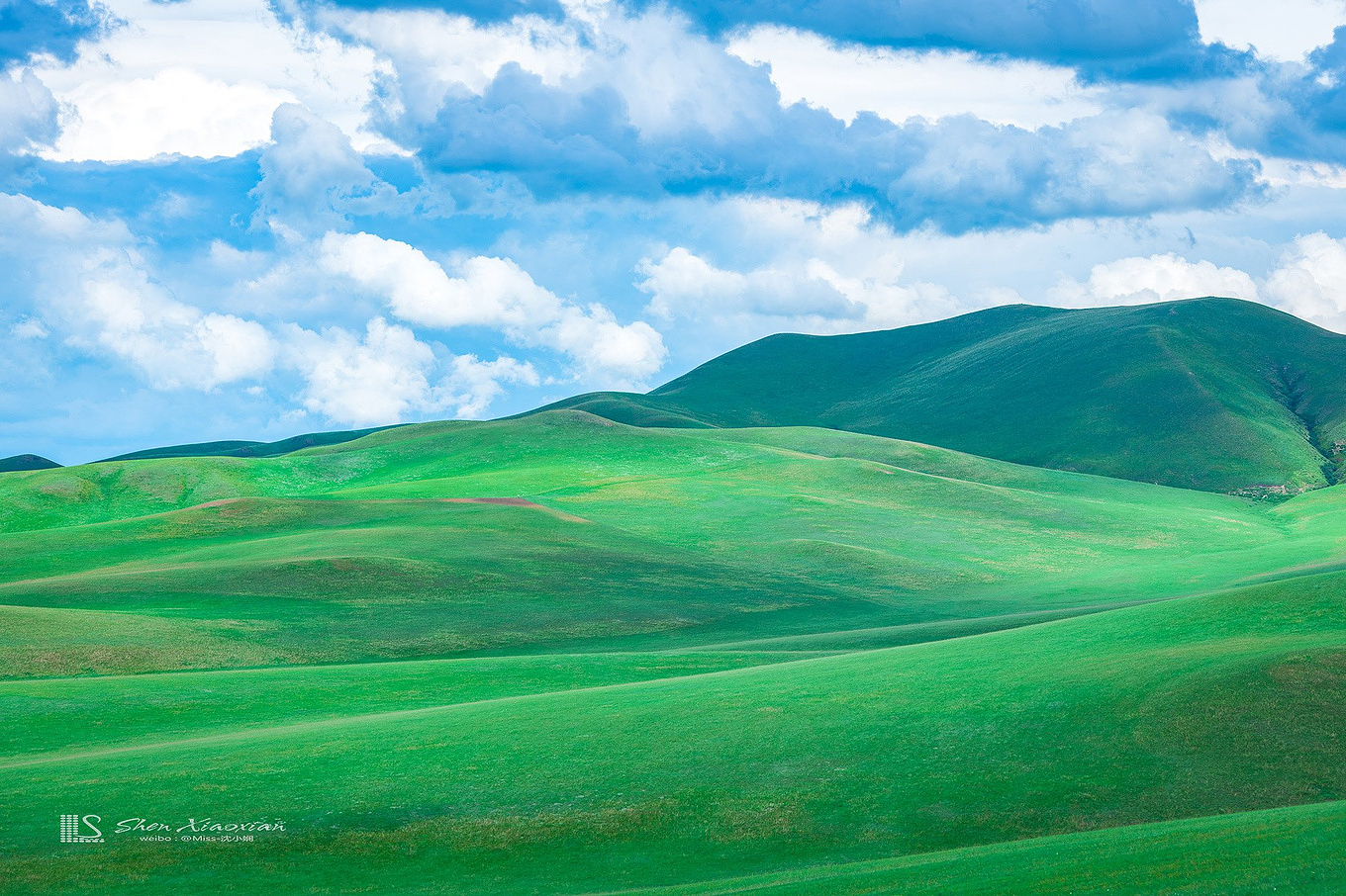 八月的锡林郭勒,8月的锡林郭勒