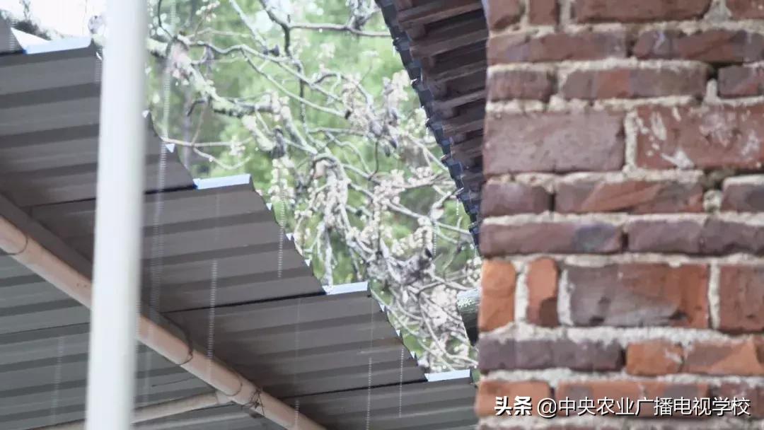 【农广天地】滑溜的财富抓起来