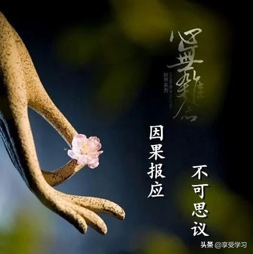 十二星座之摩羯座最新的爱情运势,本周星座运势双子座和摩羯座