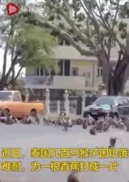 疫情过后得有多少人下岗,疫情还没结束却被辞退了