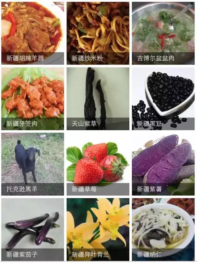 疆领鲜新疆特产,疆公子新疆特产