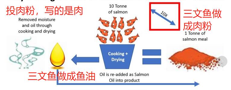 山东汉欧的狗粮怎么样,汉欧猫狗粮生产