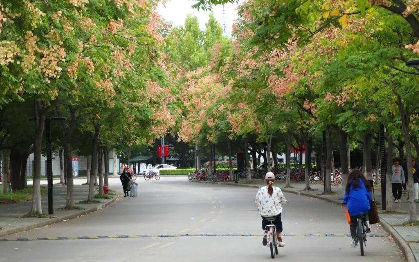 江苏低分捡漏的二本学校分数线,江苏低分捡漏大学