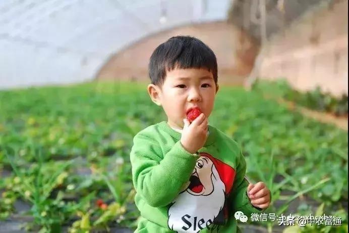 忻州保德好玩嘛,山西保德去哪玩