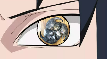 火影忍者真人cosplay写轮眼,火影cos现场