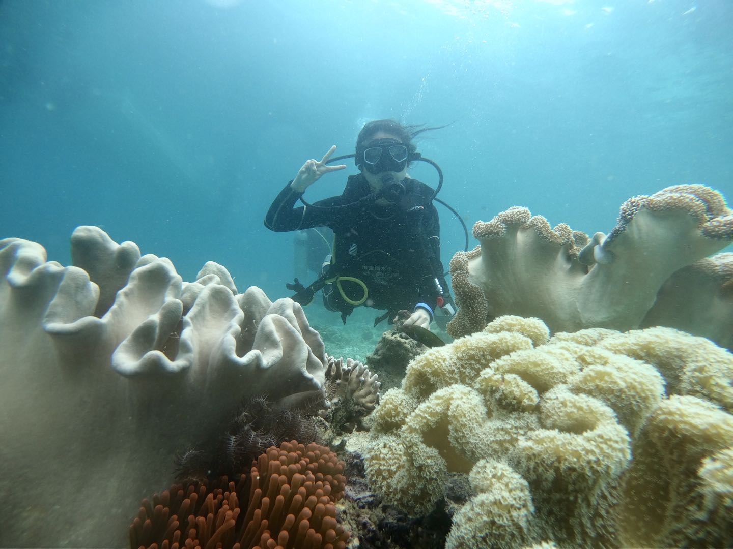 去马来西亚必买的10件东西,马来西亚必吃的10种美食
