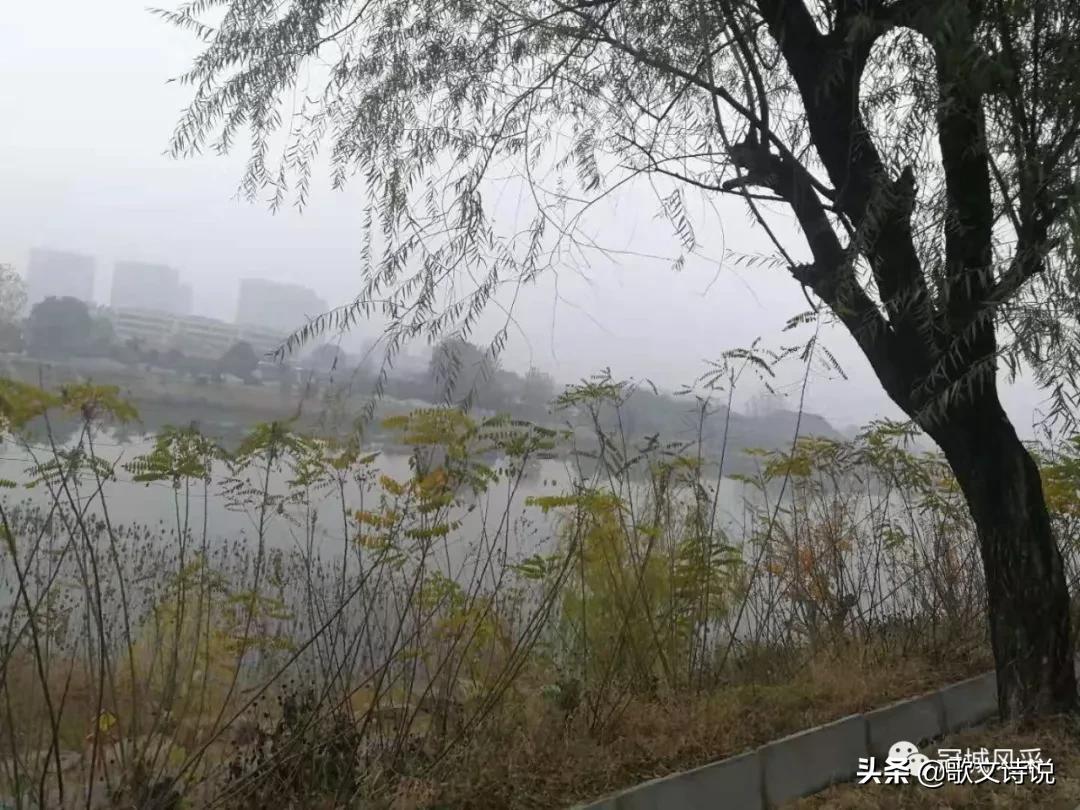 梁山雪花甏肉干饭属于哪个街道,梁山雪花甏肉干饭电话