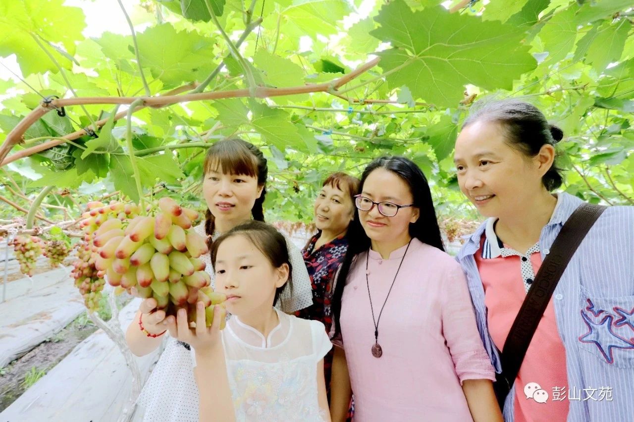 萄益彭山，乐活百年