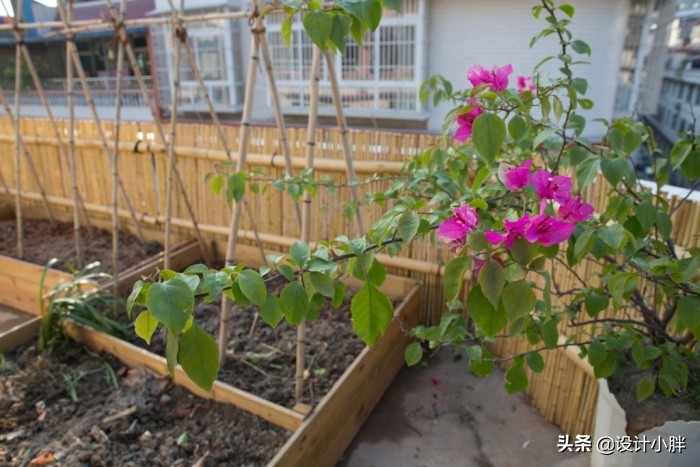 一个人手工diy,一个人的diy可以做什么