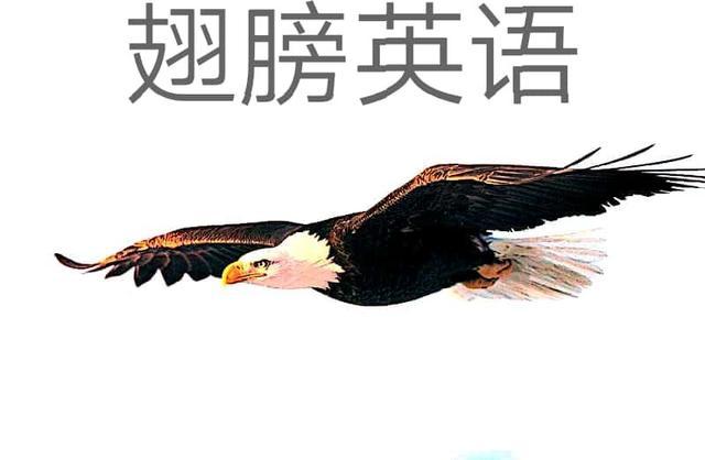 高中语法非谓语动词练习题,英语十二个语法公式