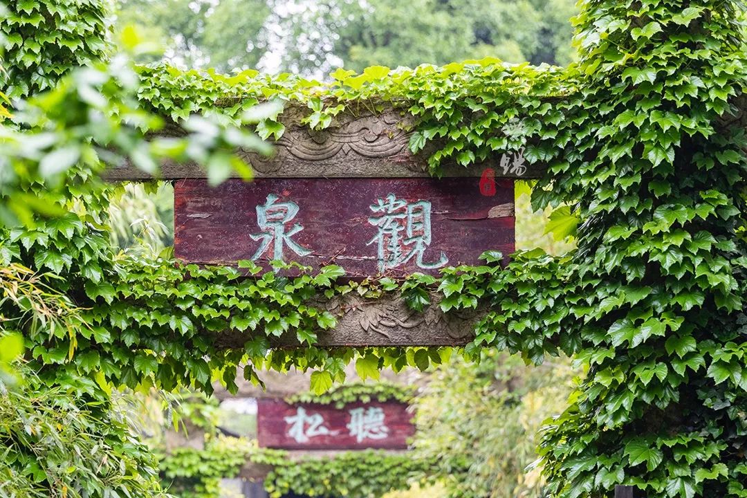 惠山古镇天下第二泉竹筒茶,惠山古镇天下第二泉