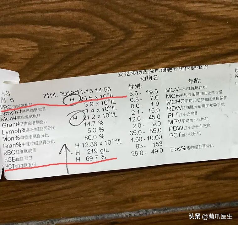 go猫粮吃了拉黄水,go猫粮吃了会黑下巴吗