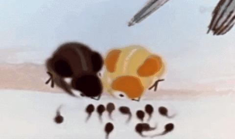 十部暴露年龄的动画片,20年都没看过的动画片