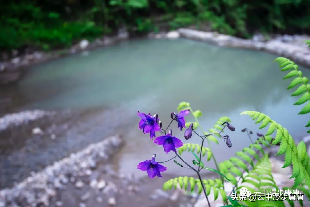 什邡蓥华大峡谷漂流还有什么玩的,九龙溪漂流和蓥华大峡谷漂流