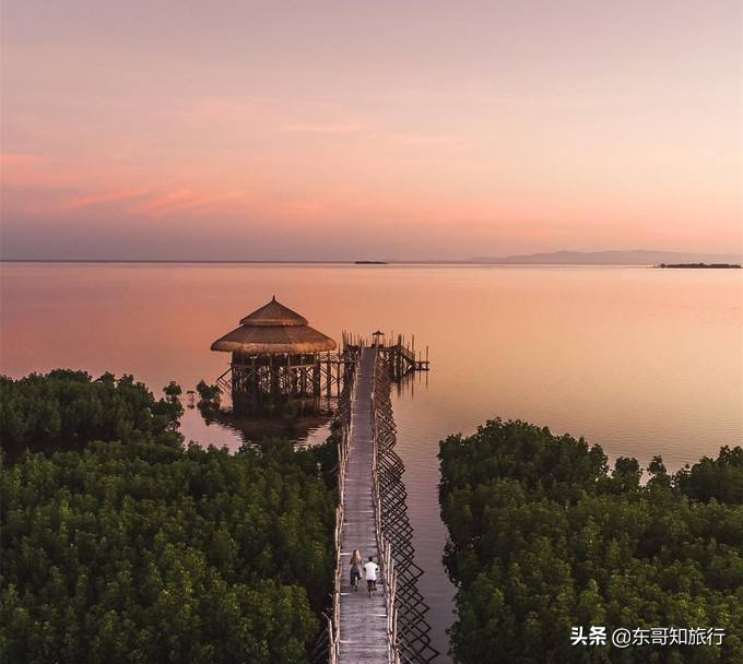 菲律宾宿务薄荷岛好不好,菲律宾宿务旅游准备
