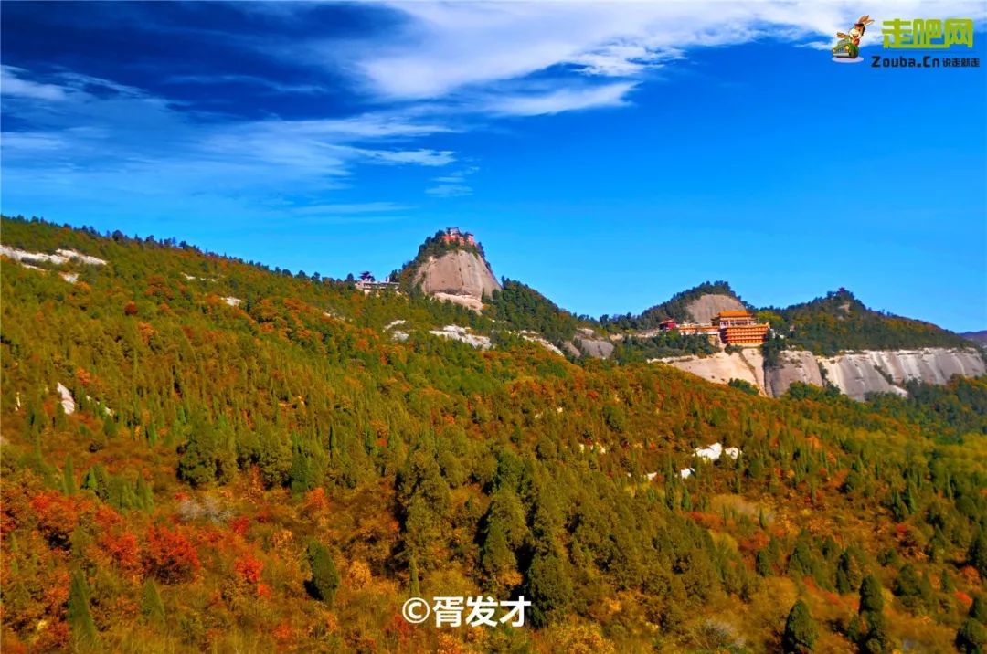 2021秦岭鸡窝子分水岭红叶,秦岭红叶最佳自驾线