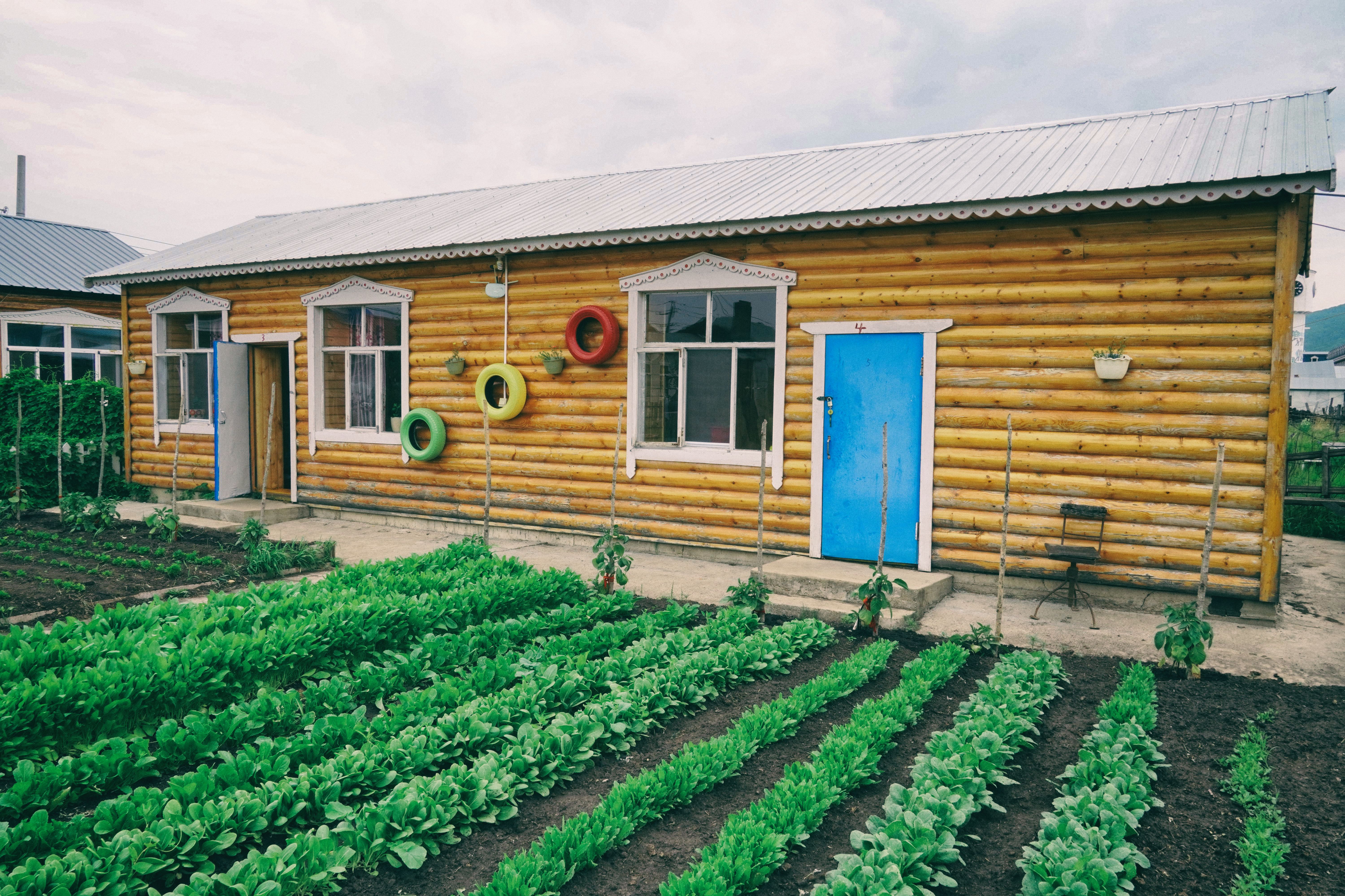 东北游记攻略,东北游记最新视频