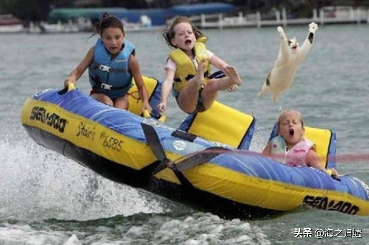 神级抓拍图片,25张令人惊叹的“神”级抓拍