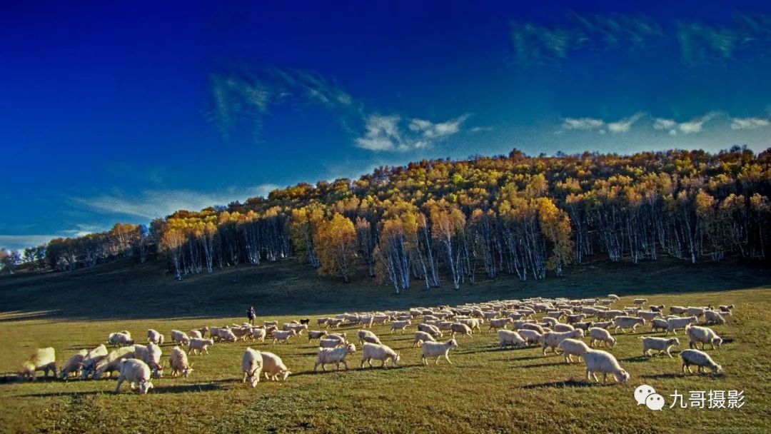 坝上草原天路美景,大美坝上风光系列之一