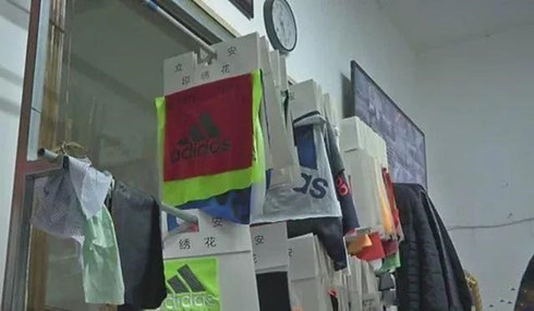 阿迪达斯出宠物服装了？不，其实是商标侵权