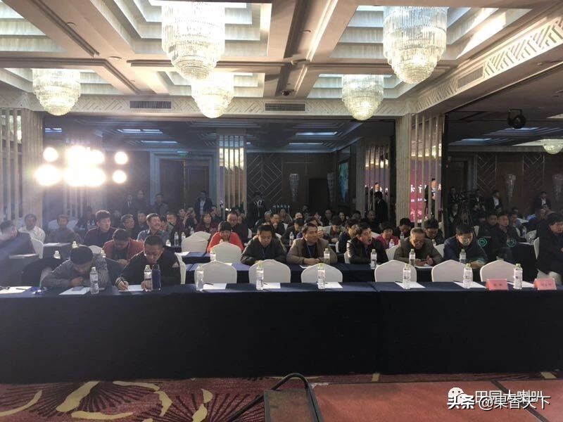 赋能新科技，肥效是王道