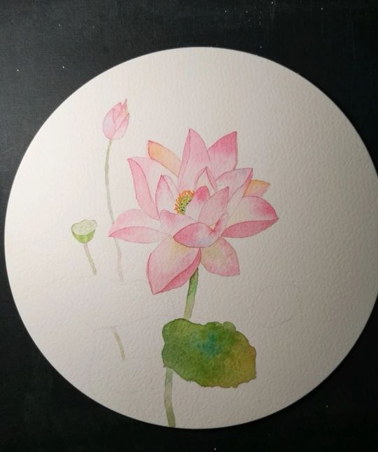 如何画荷花的最简单的方法,怎么画荷花一步一步教你画荷花