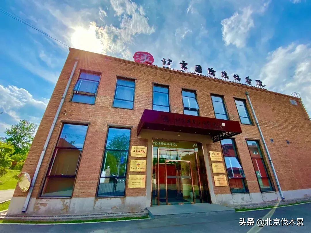 木工茶,木工手工雕刻茶道