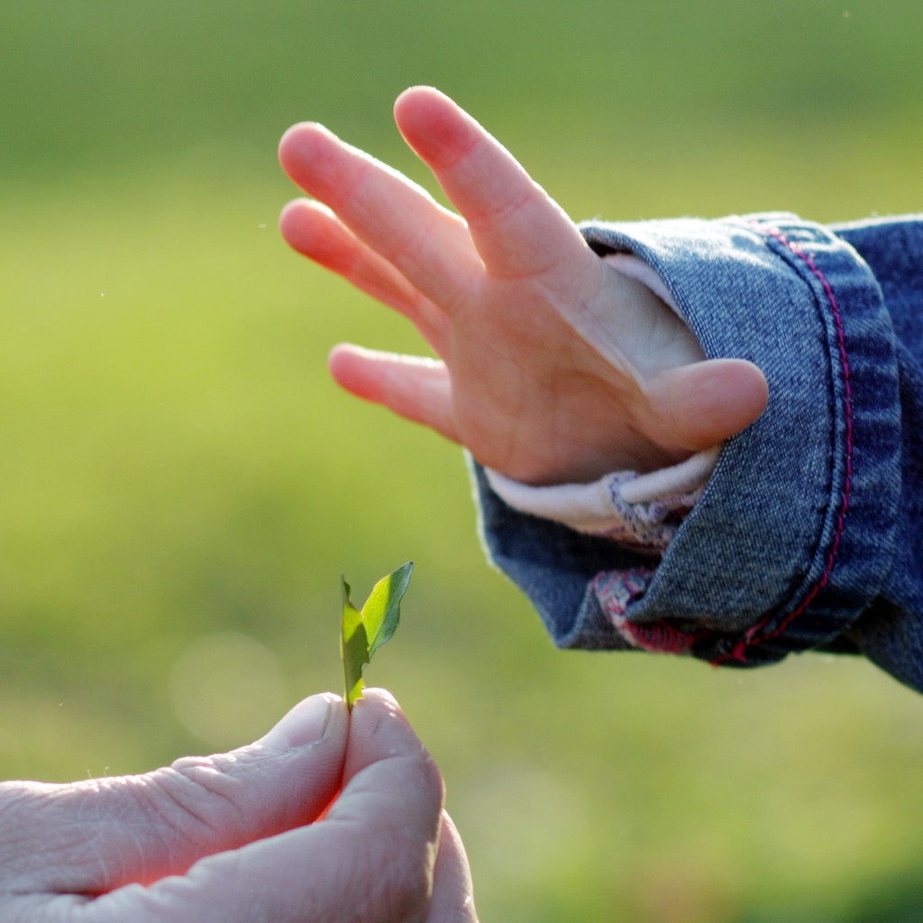 孩子总是说话不算话怎么办,父母说话不算数