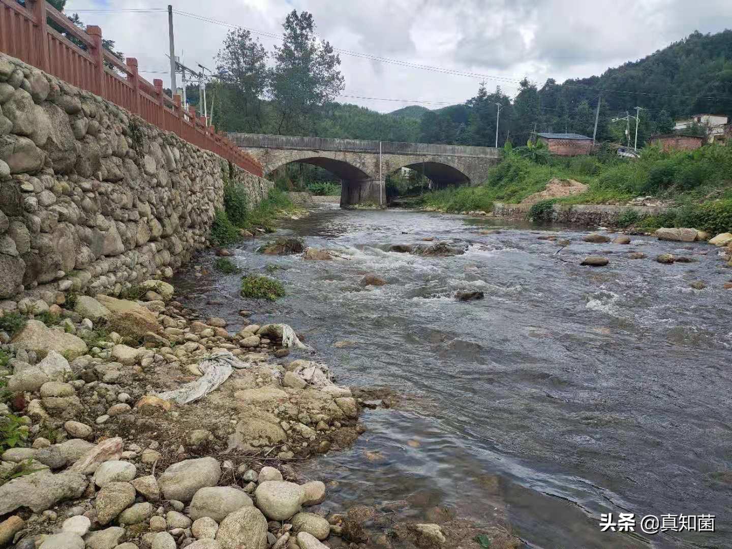 古竹小学是公办还是民办学校,曾经的乡村小学怎么样了