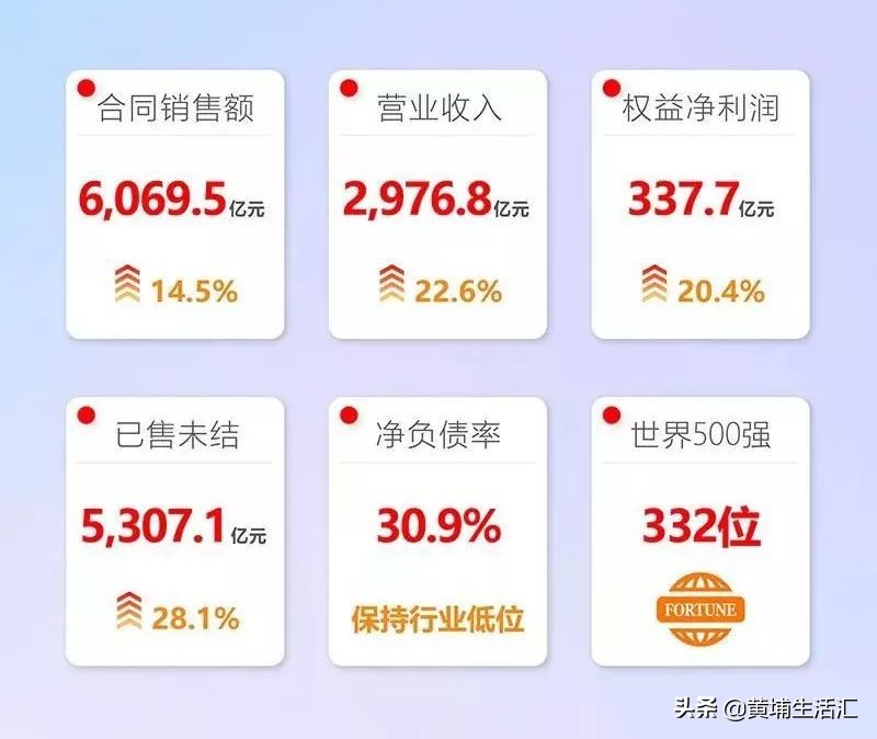 万科里享家:大牌刚需却遭遇质量滑铁卢?