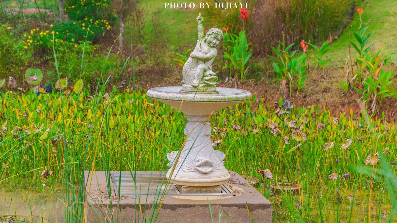 金坛花谷奇缘几月开花,金坛花谷奇缘地图