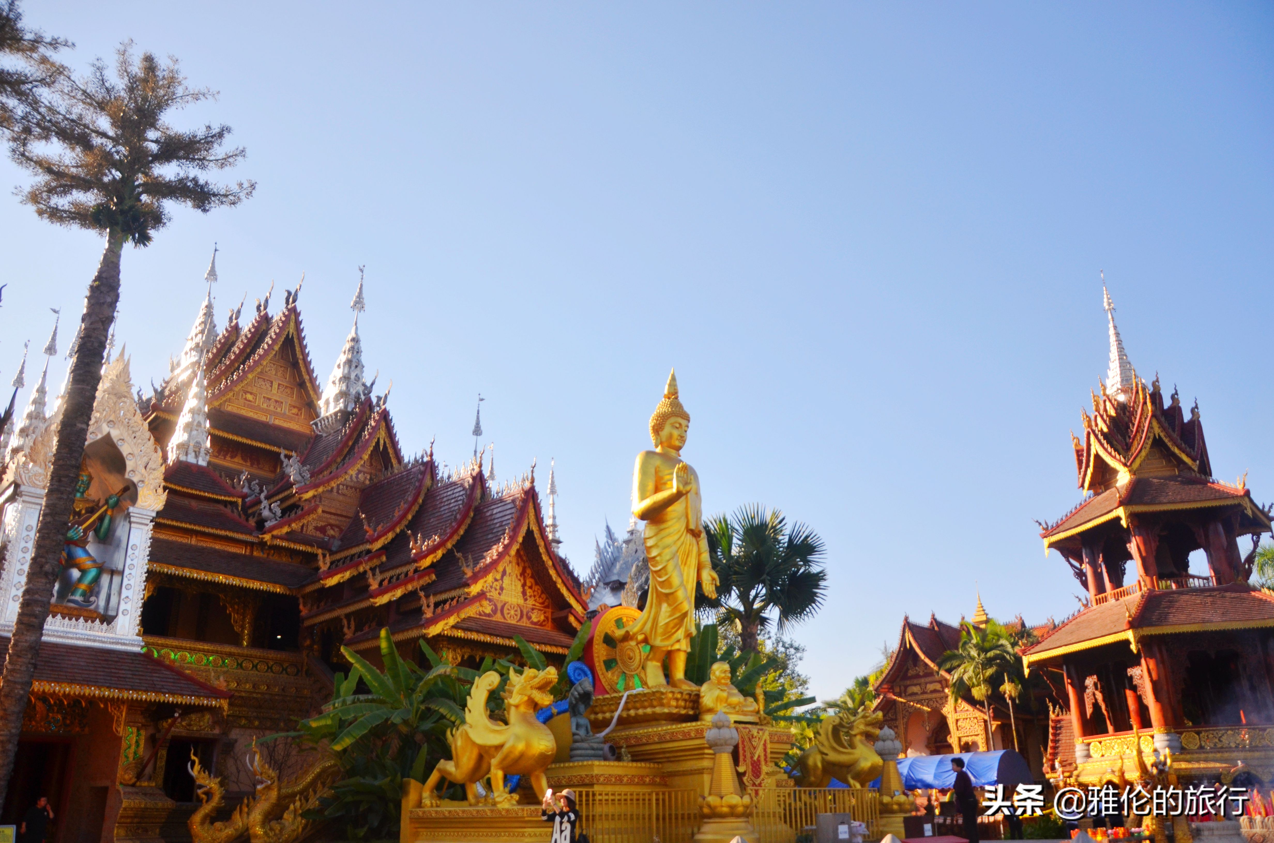 西双版纳傣王的后花园,傣王的御花园是谁修建的