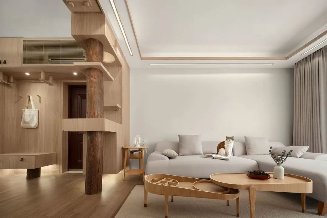 给猫自制的豪华猫屋,给猫咪改造猫屋