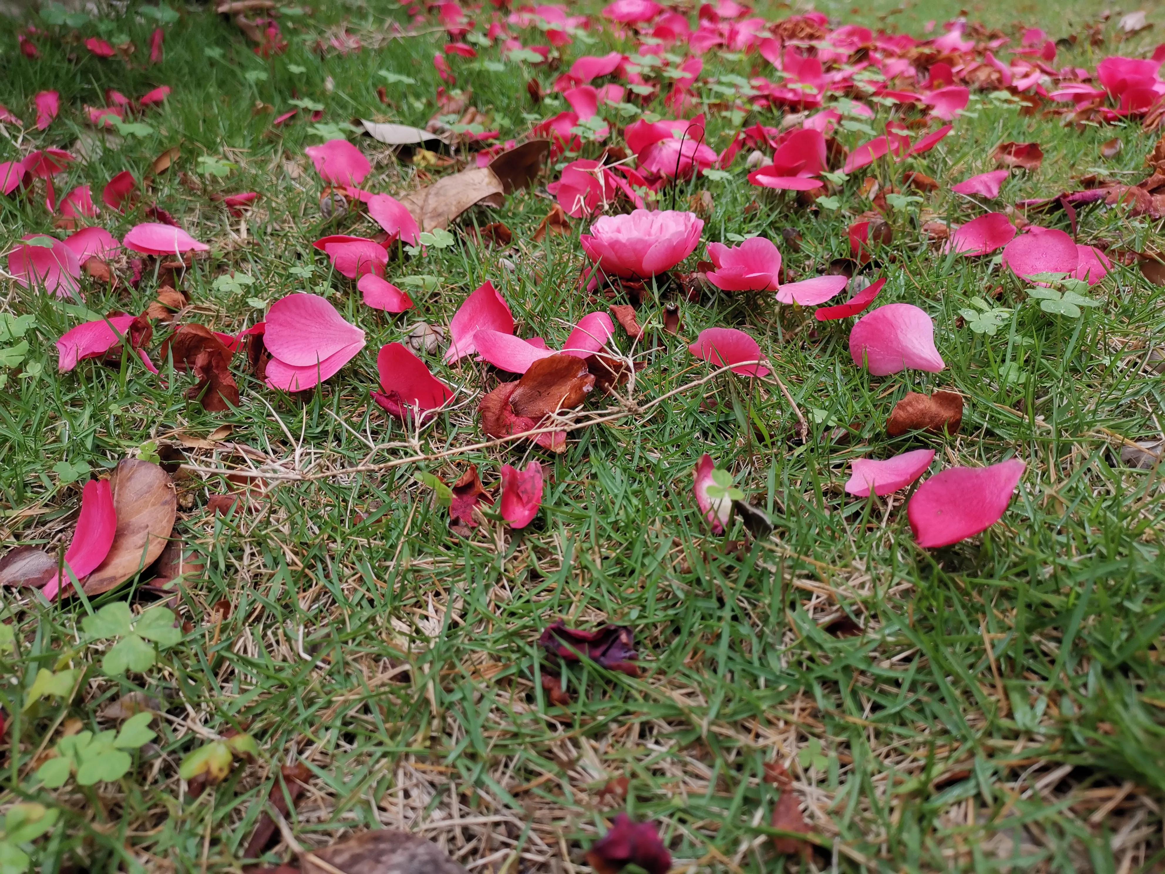 濮戝珎鏃呰璁板綍,濮戝珎鏃呰鏃ヨ