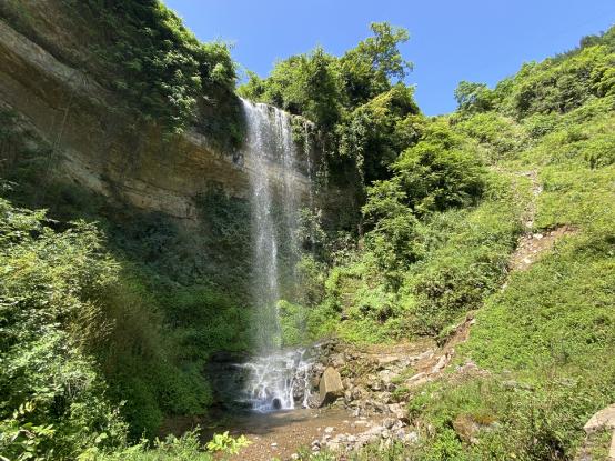 重庆贵州避暑旅游景点,离重庆最近的贵州避暑胜地